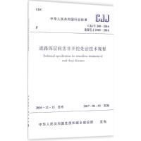 [M]道路深层病害非开挖处治技术规程-1511230030