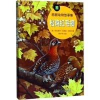 [M]松鸡红毛领-9787539796260