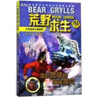 [M]雪豹险峰的神秘洞穴-9787544854054