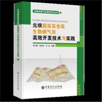 [M]元坝超深高含硫生物礁气田高效开发技术与实践-9787511448088