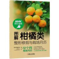 [M]图解柑橘类整形修剪与栽培月历-9787111611738
