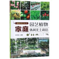 [M]家庭园艺植物休闲无土栽培-9787109238787