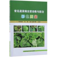 [M]常见蔬菜病虫害诊断与防治彩色图鉴-9787511640055