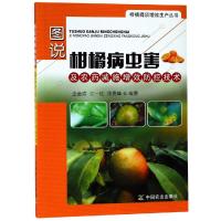 [M]图说柑橘病虫害及农药减施增效防控技术-9787109249783