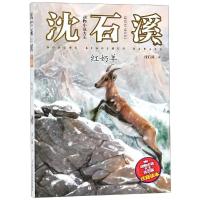 [M]红奶羊-9787559711380