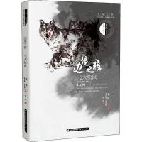 [M]边境之狼 飞天松鼠-9787541498206