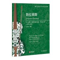 [M]勃拉姆斯D小调小提琴奏鸣曲 丁芷诺,吴正瑜 著 -9787544489768