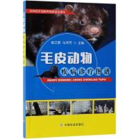[M]毛皮动物疾病诊疗图谱-9787109245549