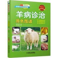 [M]羊病诊治原色图谱-9787111556541