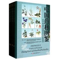 [M]中国药材图鉴-102109406