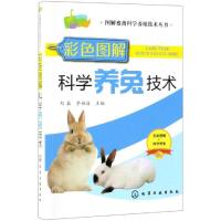 [M]彩色图解科学养兔技术-9787122339195