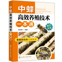 [M]中蜂高效养殖技术一本通-9787122342348