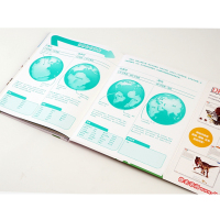 [M]DK小科学馆 动物-9787521708301