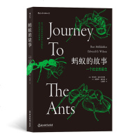 [M]蚂蚁的故事-9787553686516