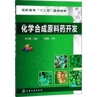 [M]化学合成原料药开发-9787122116376