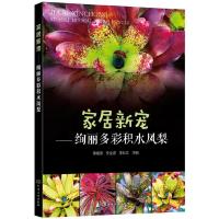 [M]家居新宠——绚丽多彩积水凤梨-9787122341471