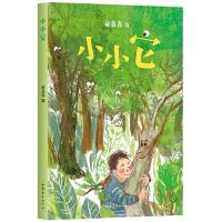 [M]小小它 童喜喜 著 -9787532958672