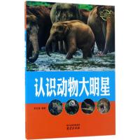 [M]认识动物大明星-9787553315478