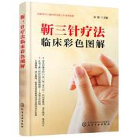 [M]靳三针疗法临床彩色图解-9787122325358
