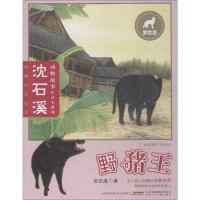 [M]野猪王 美绘版-9787570702633