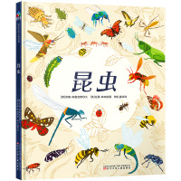 [M]昆虫-9787531576068