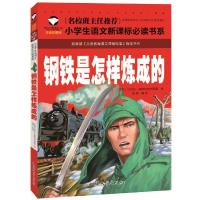 [M]钢铁是怎样炼成的 注音彩图版-9787565820502