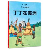 [M]丁丁在美洲-9787500794660