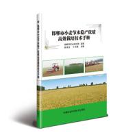 [M]邯郸市小麦节水稳产优质高效栽培技术手册-9787511643308