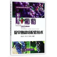 [M]彩图版葡萄促早熟栽培配套技术-9787109240070