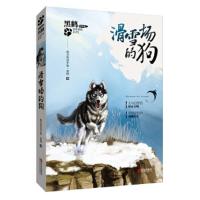 [M]滑雪场的狗-9787555234111