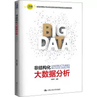 [M]非结构化大数据分析-9787300262970