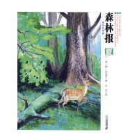 [M]彩色注音版/森林报系列(夏)-9787539153254