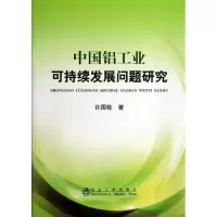 [M]中国铝工业可持续发展问题研究-9787502463304