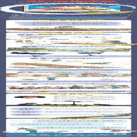 [M]飞行员紫罗兰-9787534067297