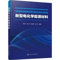 [M]新型电化学能源材料-9787122355232