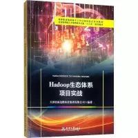 [M]HADOOP生态体系项目实战-9787561864760