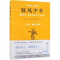 [M]驭风少年(精)-9787544280044