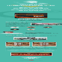 [M]阿里铁军:阿里巴巴销售铁军的进化、裂变与复制-9787508673172