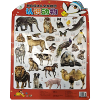 [M]凹凸版幼儿早教挂图 认识动物 爱德少儿 著 -9787540143947