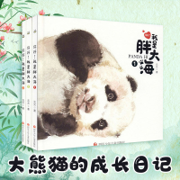 [M]你好!我是胖大海(全3册)-9787536594050