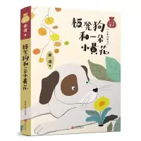 [M]小口袋童话:金波专集 板凳狗和一朵小黄花(注音桥梁书)-9787559623867