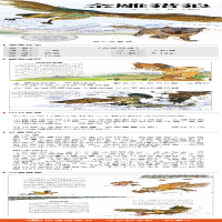 [M]金雕猎狼 王军 著 王祖民 绘 -9787570805754
