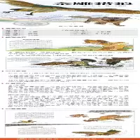 [M]金雕猎狼 王军 著 王祖民 绘 -9787570805754