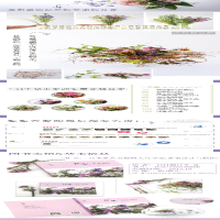 [M]日本花艺名师的人气学堂 花束设计与制作-9787122248909