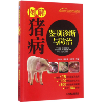 [M]图解猪病鉴别诊断与防治-9787111567004