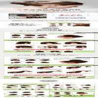 [M]专业盘发造型教程-9787115499905