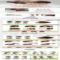 [M]专业盘发造型教程-9787115499905