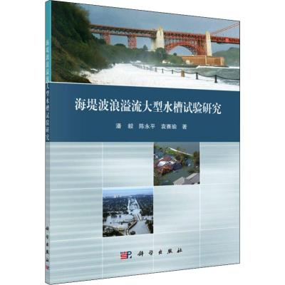 [M]海堤波浪溢流大型水槽试验研究-9787030629890