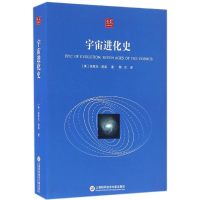 [M]宇宙进化史-9787543969995