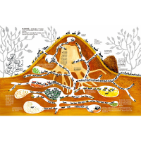 [M]一千零一只蚂蚁-9787121372445